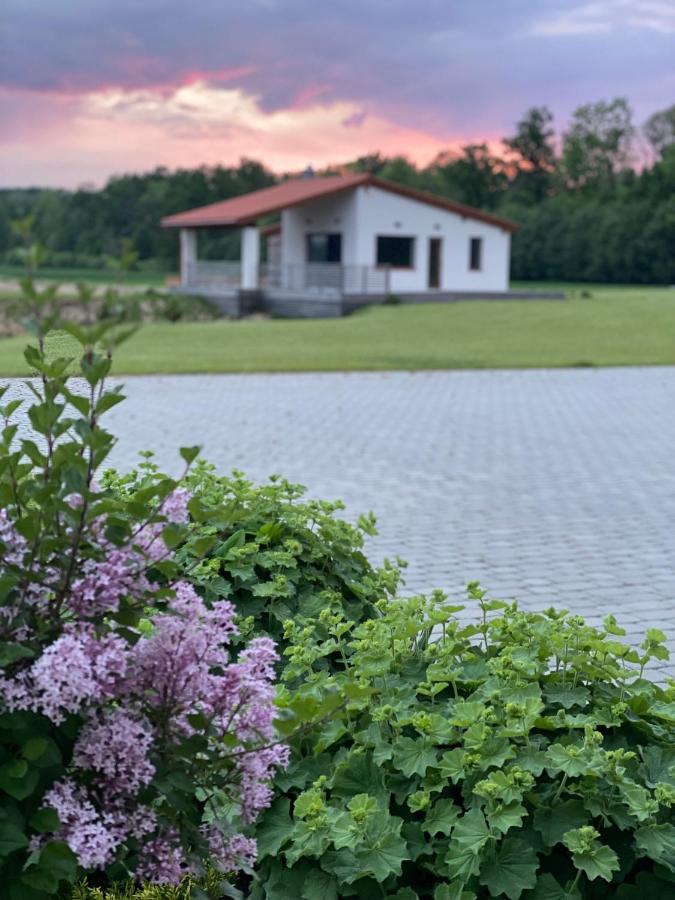 Sodyba Peledu Medus Vainekoniai Exterior photo